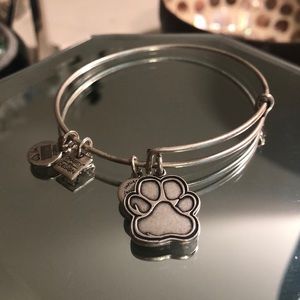 Alex and Ani
